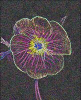 ART0507.jpg