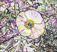 ART0505.jpg