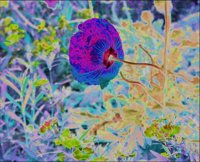 ART0504.jpg