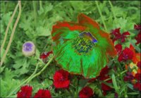 ART0503.jpg