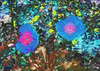 ART0501.jpg