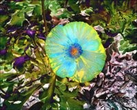 ART0499.jpg
