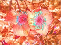 ART0498.jpg