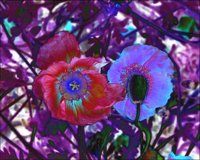 ART0497.jpg