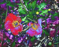 ART0496.jpg
