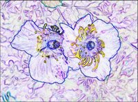 ART0495.jpg