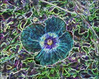 ART0494.jpg