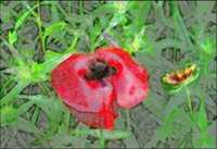 ART0492.jpg
