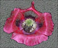ART0489.jpg