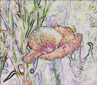 ART0488.jpg