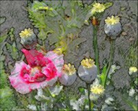 ART0486.jpg