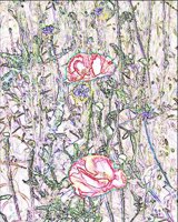 ART0482.jpg