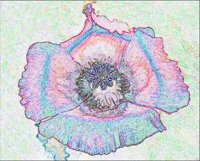 ART0481.jpg