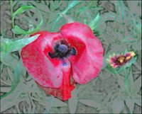 ART0479.jpg