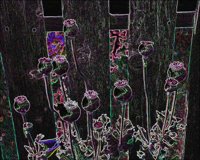 ART0478.jpg