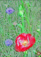 ART0477.jpg