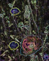 ART0474.jpg