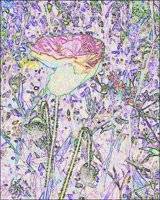 ART0473.jpg