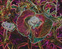 ART0472.jpg