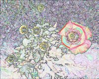 ART0467.jpg