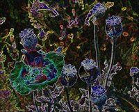 ART0466.jpg