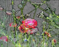 ART0459.jpg