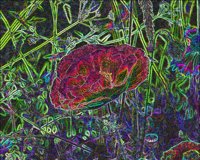 ART0457.jpg