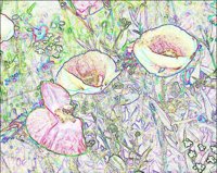 ART0456.jpg