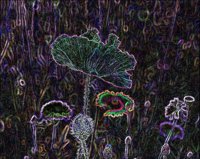ART0455.jpg