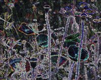 ART0454.jpg