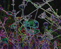 ART0452.jpg