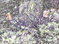 ART0451.jpg