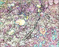 ART0447.jpg