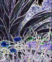 ART0442.jpg