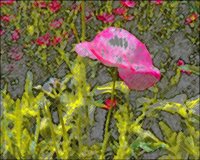 ART0441.jpg