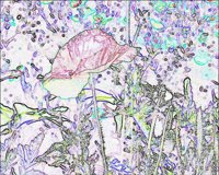 ART0440.jpg