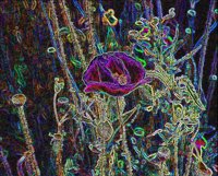 ART0439.jpg