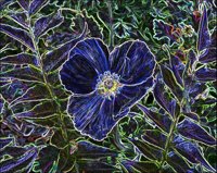 ART0435.jpg