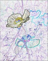 ART0432.jpg