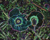 ART0431.jpg
