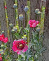 ART0430.jpg