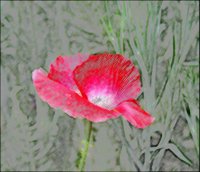 ART0427.jpg