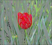 ART0426.jpg