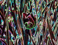 ART0425.jpg