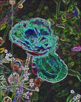 ART0422.jpg
