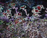ART0420.jpg
