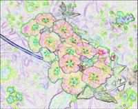 ART0416.jpg