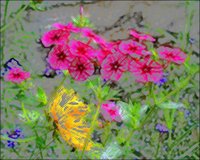ART0414.jpg