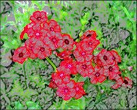 ART0412.jpg