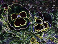 ART0410.jpg